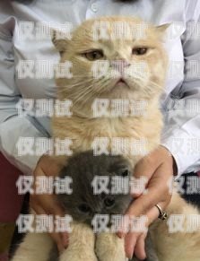 蓝猫电销卡的使用指南蓝猫电销卡怎么用的啊知乎